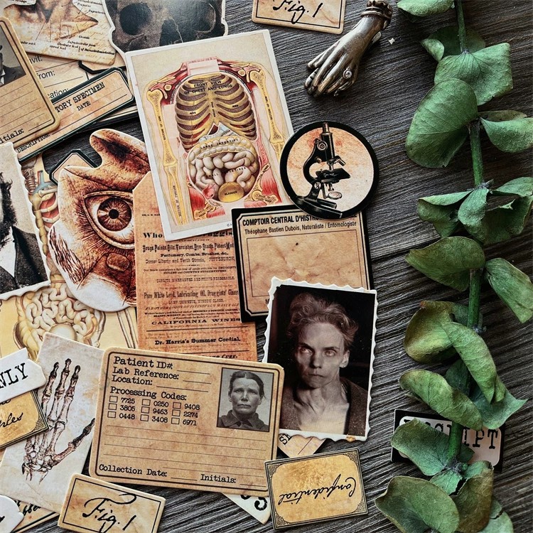 Bricolage Scrapbooking Vintage - Photography Journal avis et prix