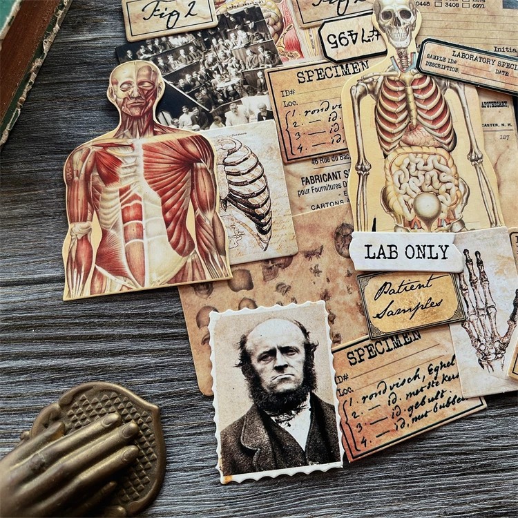 Bricolage Scrapbooking Vintage - Photography Journal avis et prix